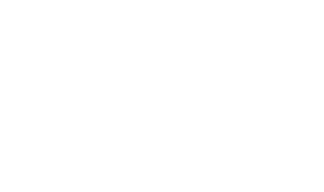 Introducing Our Exciting Partnership as a Wasabi Cloud Storage Reseller!